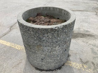 Muldoon library concrete planter