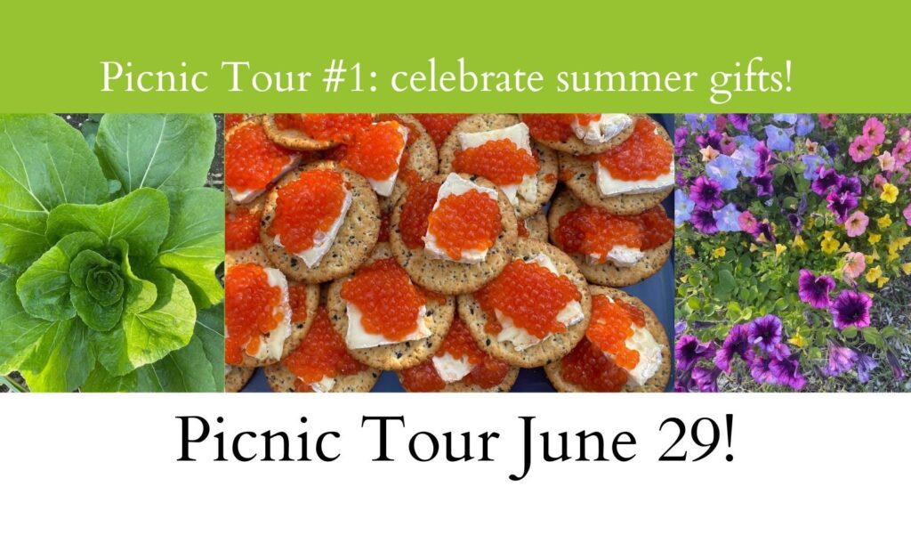 Picnic Tour June 29. Photos of cabbage, crackers with salmon rose an cheese, and purple flowers.